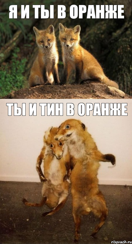 я и ты в оранже ты и тин в оранже