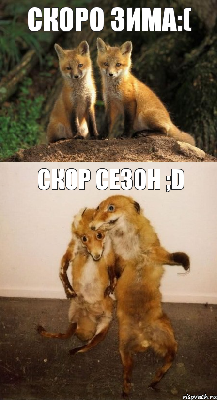 Скоро зима:( Скор СЕЗОН ;D, Комикс Лисицы