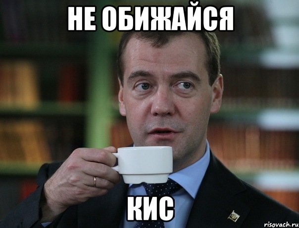 не обижайся кис, Мем Медведев спок бро