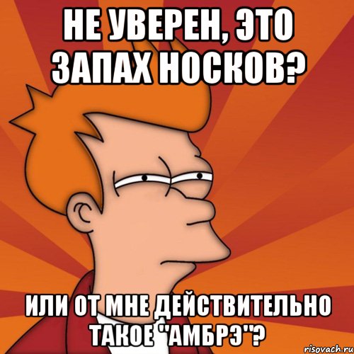 не уверен, это запах носков? или от мне действительно такое "амбрэ"?, Мем Мне кажется или (Фрай Футурама)