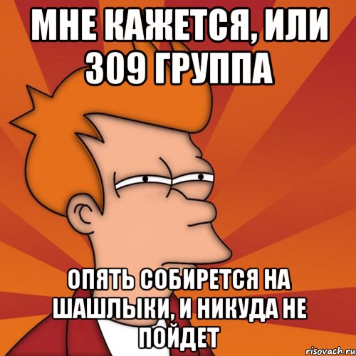 мне кажется, или 309 группа опять собирется на шашлыки, и никуда не пойдет, Мем Мне кажется или (Фрай Футурама)