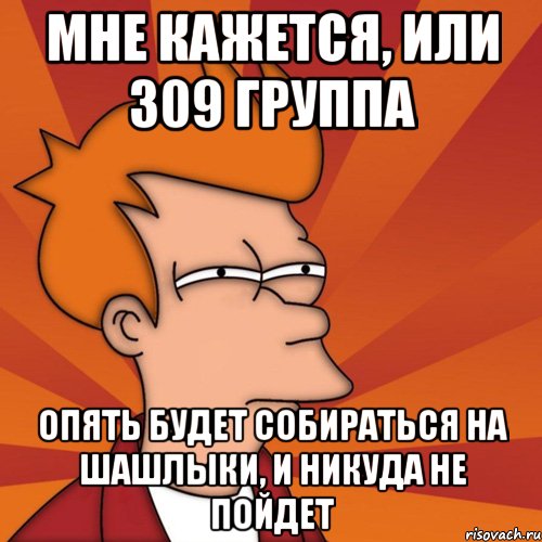 мне кажется, или 309 группа опять будет собираться на шашлыки, и никуда не пойдет, Мем Мне кажется или (Фрай Футурама)