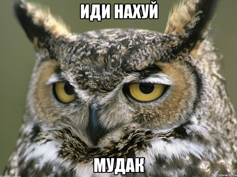 иди нахуй мудак, Мем Мудак