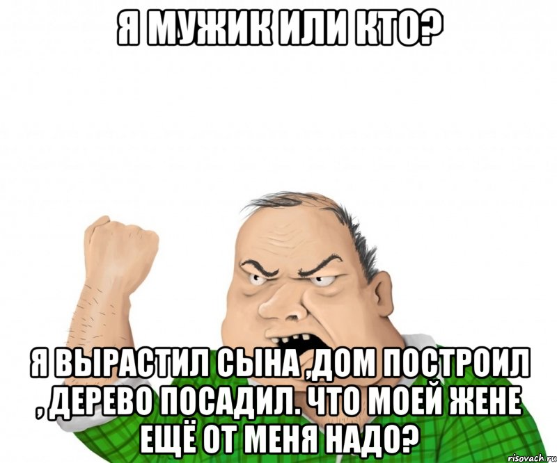 я мужик или кто? я вырастил сына ,дом построил , дерево посадил. что моей жене ещё от меня надо?, Мем мужик