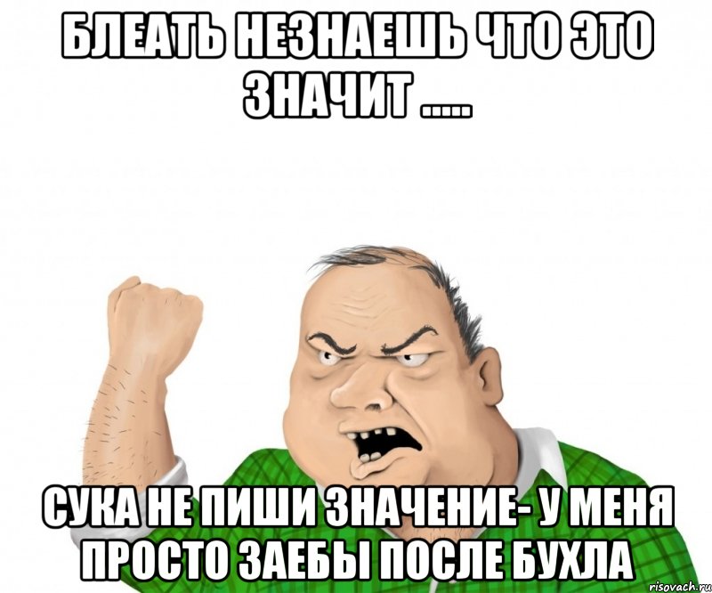 блеать незнаешь что это значит ..... сука не пиши значение- у меня просто заебы после бухла, Мем мужик