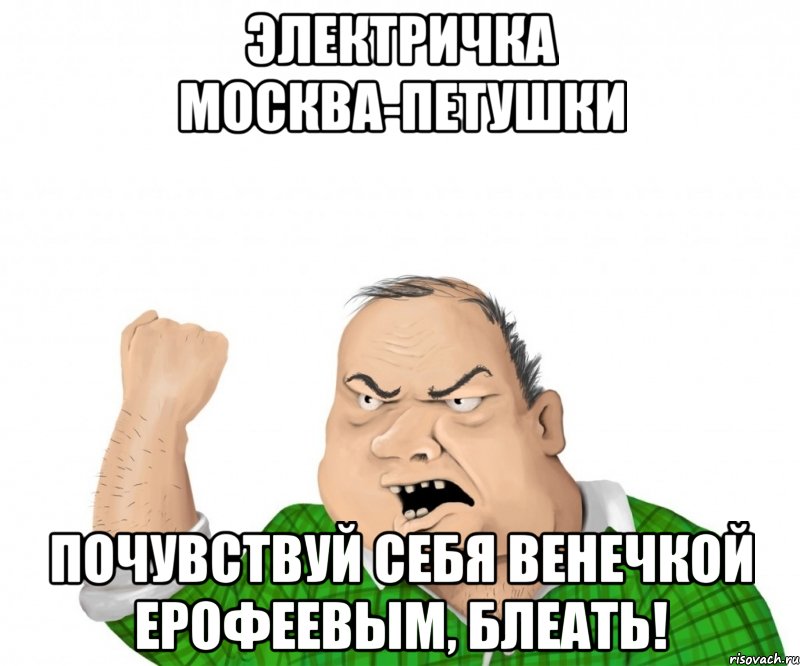 электричка москва-петушки почувствуй себя венечкой ерофеевым, блеать!, Мем мужик