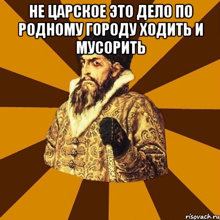 не царское это дело по родному городу ходить и мусорить , Мем Не царское это дело