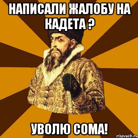 написали жалобу на кадета ? уволю сома!, Мем Не царское это дело