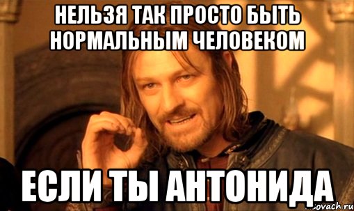 нельзя так просто быть нормальным человеком если ты антонида, Мем Нельзя просто так взять и (Боромир мем)