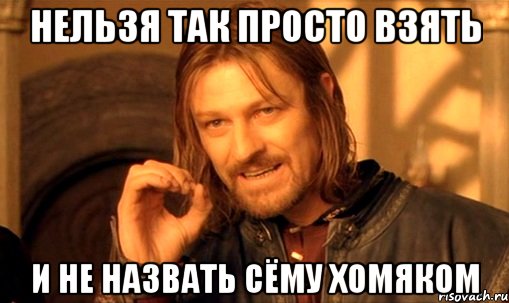 нельзя так просто взять и не назвать сёму хомяком, Мем Нельзя просто так взять и (Боромир мем)