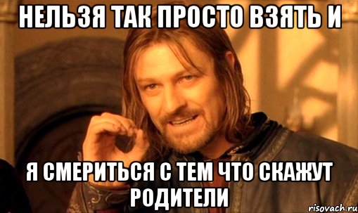 нельзя так просто взять и я смериться с тем что скажут родители, Мем Нельзя просто так взять и (Боромир мем)