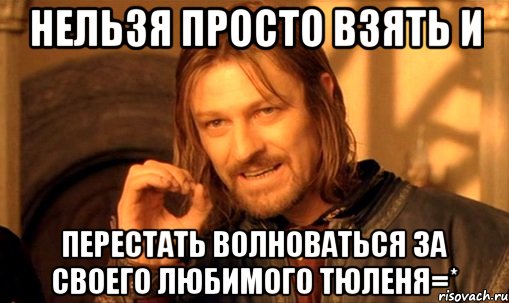 нельзя просто взять и перестать волноваться за своего любимого тюленя=*, Мем Нельзя просто так взять и (Боромир мем)