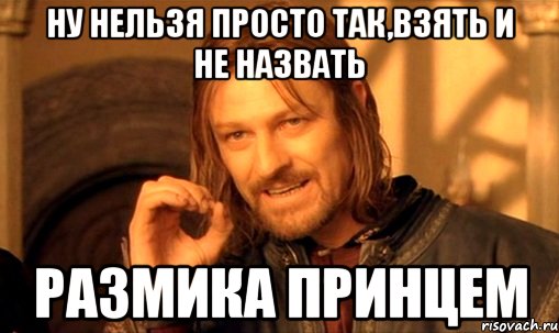 ну нельзя просто так,взять и не назвать размика принцем, Мем Нельзя просто так взять и (Боромир мем)