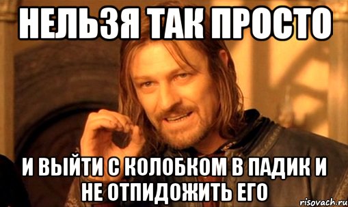 нельзя так просто и выйти с колобком в падик и не отпидожить его, Мем Нельзя просто так взять и (Боромир мем)