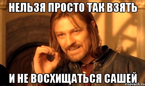 нельзя просто так взять и не восхищаться сашей, Мем Нельзя просто так взять и (Боромир мем)