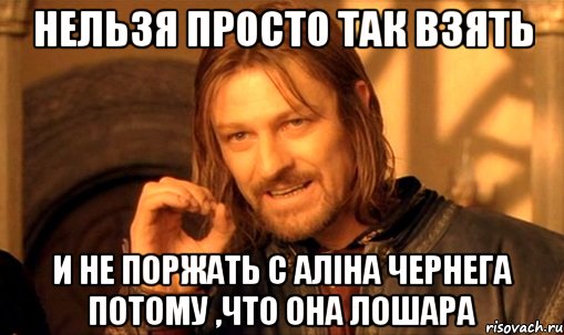 нельзя просто так взять и не поржать с аліна чернега потому ,что она лошара, Мем Нельзя просто так взять и (Боромир мем)