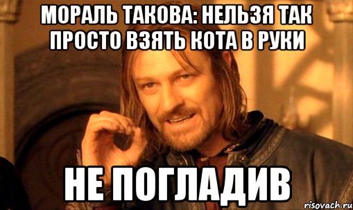 мораль такова: нельзя так просто взять кота в руки не погладив, Мем Нельзя просто так взять и (Боромир мем)