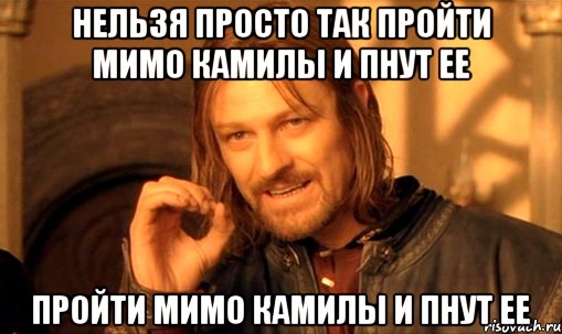 нельзя просто так пройти мимо камилы и пнут ее пройти мимо камилы и пнут ее, Мем Нельзя просто так взять и (Боромир мем)