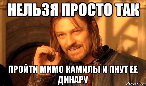 нельзя просто так пройти мимо камилы и пнут ее динару, Мем Нельзя просто так взять и (Боромир мем)