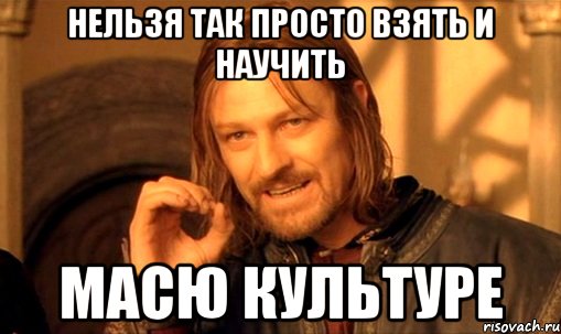 нельзя так просто взять и научить масю культуре, Мем Нельзя просто так взять и (Боромир мем)