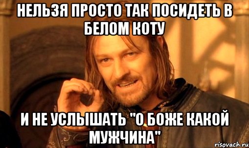 нельзя просто так посидеть в белом коту и не услышать "о боже какой мужчина", Мем Нельзя просто так взять и (Боромир мем)