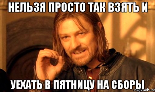 нельзя просто так взять и уехать в пятницу на сборы, Мем Нельзя просто так взять и (Боромир мем)