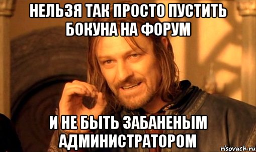 нельзя так просто пустить бокуна на форум и не быть забаненым администратором, Мем Нельзя просто так взять и (Боромир мем)