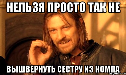 нельзя просто так не вышвернуть сестру из компа, Мем Нельзя просто так взять и (Боромир мем)