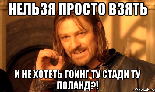 нельзя просто взять и не хотеть гоинг ту стади ту поланд?!, Мем Нельзя просто так взять и (Боромир мем)