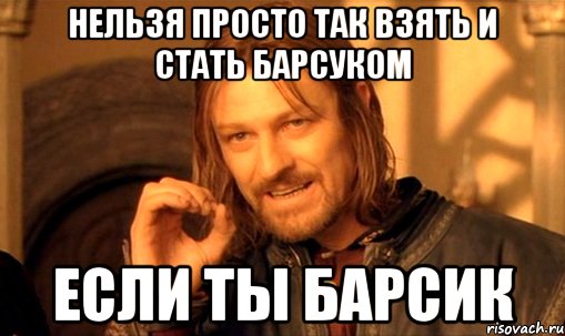 нельзя просто так взять и стать барсуком если ты барсик, Мем Нельзя просто так взять и (Боромир мем)