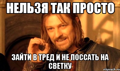 нельзя так просто зайти в тред и не поссать на светку, Мем Нельзя просто так взять и (Боромир мем)