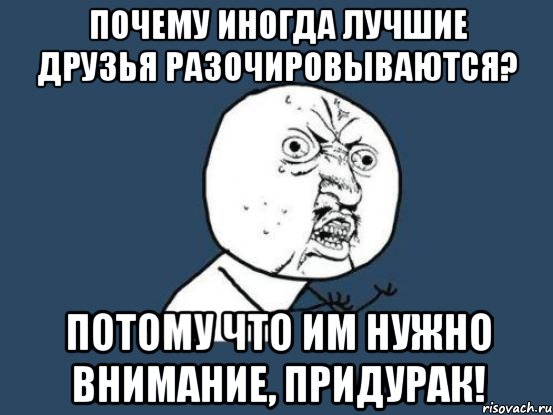 почему иногда лучшие друзья разочировываются? потому что им нужно внимание, придурак!, Мем Ну почему