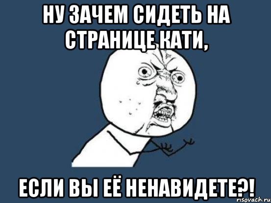 ну зачем сидеть на странице кати, если вы её ненавидете?!, Мем Ну почему