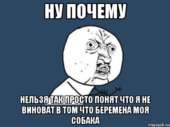 ну почему нельзя так просто понят что я не виноват в том что беремена моя собака, Мем Ну почему