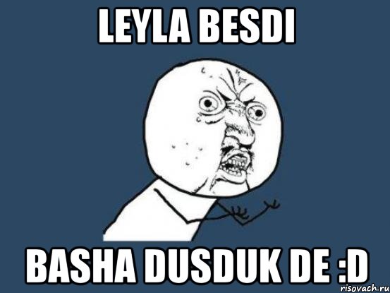 leyla besdi basha dusduk de :d, Мем Ну почему