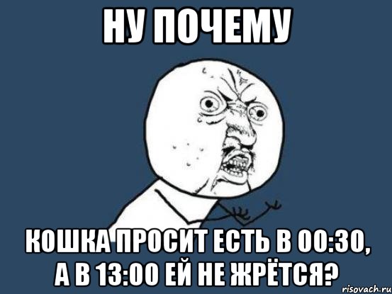 ну почему кошка просит есть в 00:30, а в 13:00 ей не жрётся?, Мем Ну почему