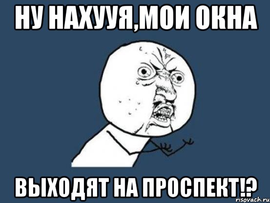 ну нахууя,мои окна выходят на проспект!?, Мем Ну почему