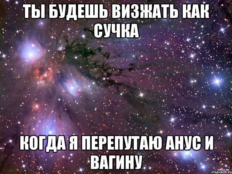 ты будешь визжать как сучка когда я перепутаю анус и вагину, Мем Космос