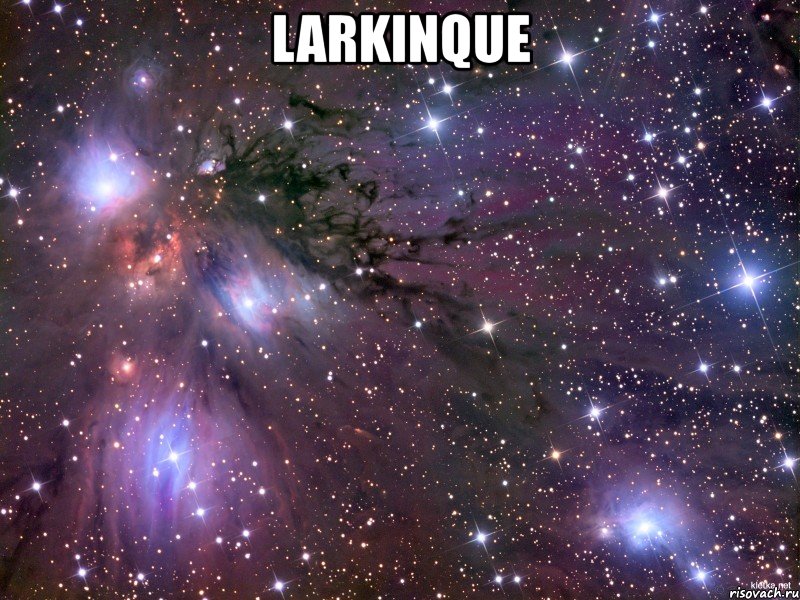 larkinque , Мем Космос