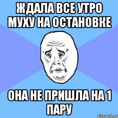 ждала все утро муху на остановке она не пришла на 1 пару, Мем Okay face