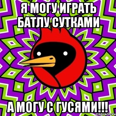 я могу играть батлу сутками а могу с гусями!!!, Мем Омская птица