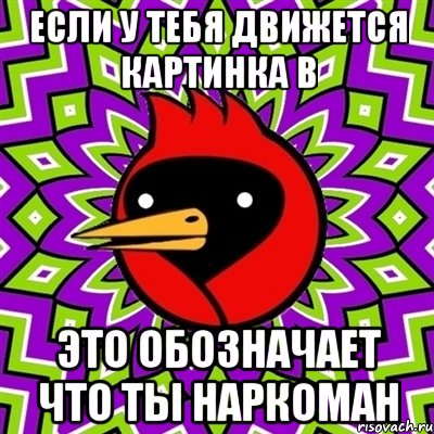 если у тебя движется картинка в это обозначает что ты наркоман, Мем Омская птица