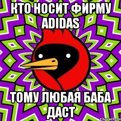 кто носит фирму adidas тому любая баба даст, Мем Омская птица