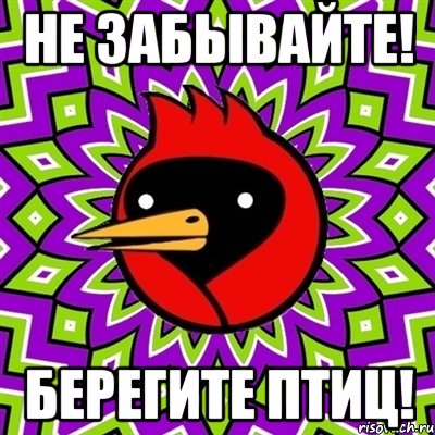 не забывайте! берегите птиц!, Мем Омская птица