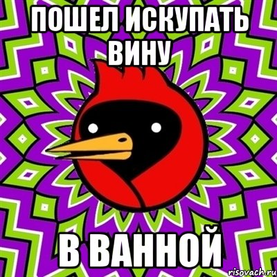 пошел искупать вину в ванной, Мем Омская птица