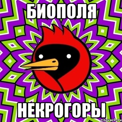 биополя некрогоры, Мем Омская птица