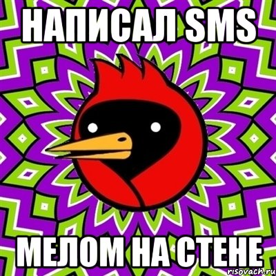 написал sms мелом на стене, Мем Омская птица