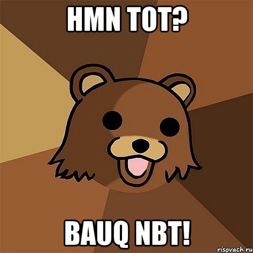 hmn tot? bauq nbt!, Мем Педобир