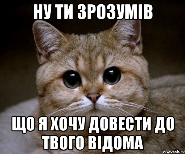 ну ти зрозумів що я хочу довести до твого відома, Мем Пидрила Ебаная