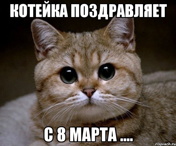 котейка поздравляет с 8 марта ...., Мем Пидрила Ебаная